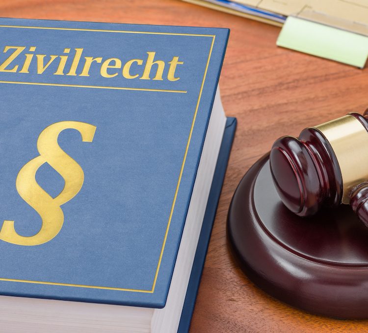 Gesetzbuch mit Richterhammer -Zivilrecht