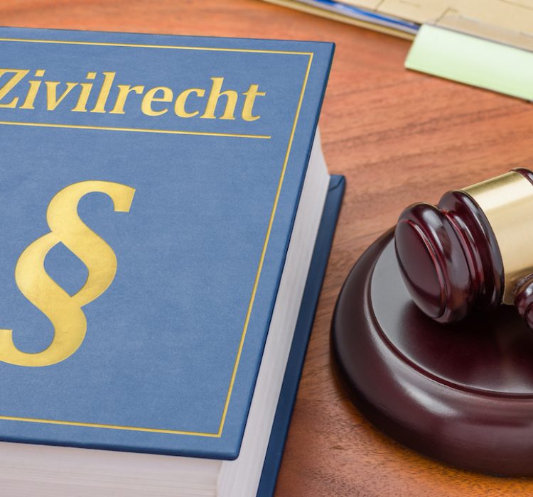 Gesetzbuch mit Richterhammer -Zivilrecht